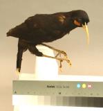 Click for more details.